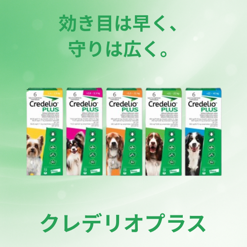 クレデリオプラス
