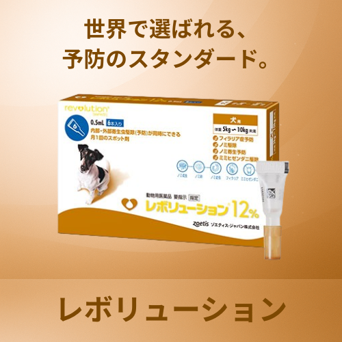 レボリューション