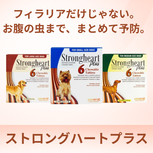 ストロングハートプラス